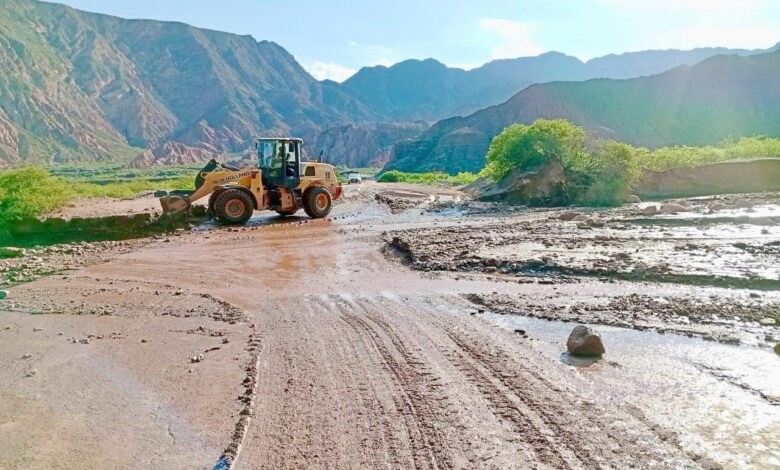 Lluvia, pozos y animales: viajar por Salta exige bajar un cambio